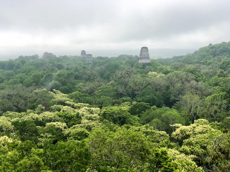 Tempel IV Tikal Aussicht