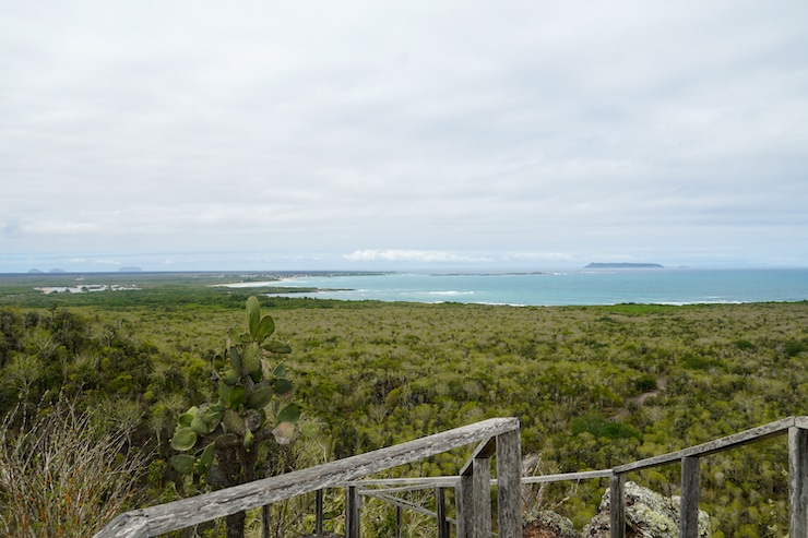 Galapagos Isabela Aussichtsplattform