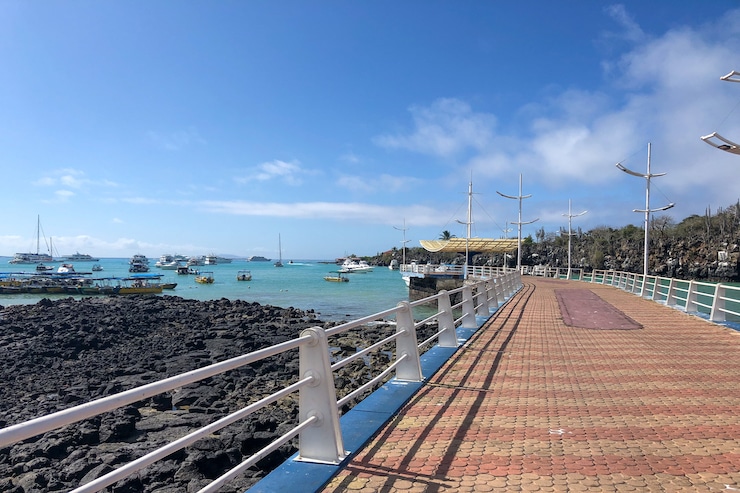 Galapagos Santa Cruz Hafen