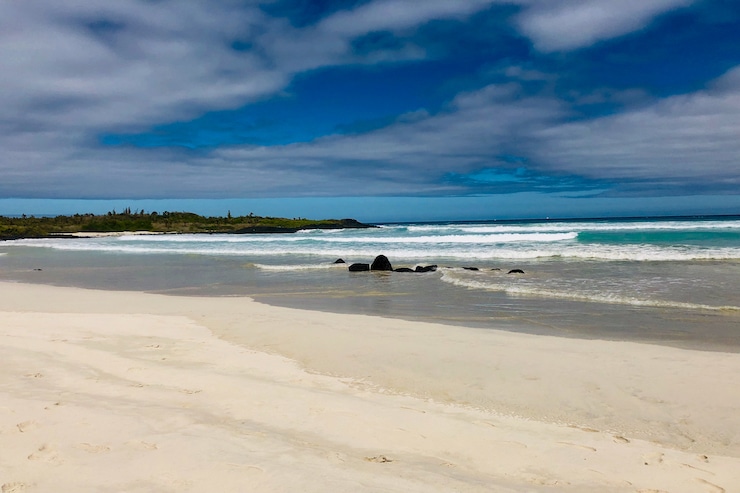 Tortuga Bay Santa Cruz